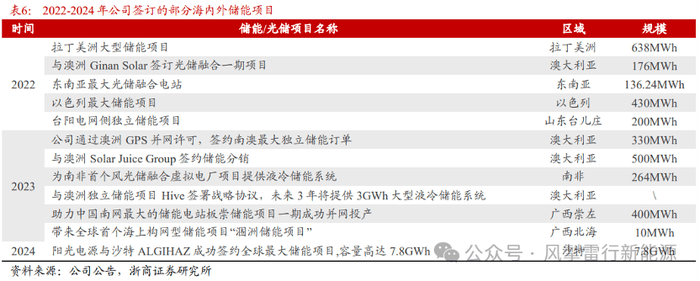 那些年叫不出名字的绿植