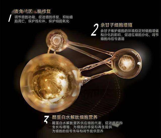 屋面防水等级是怎么划分的及其防水的做法